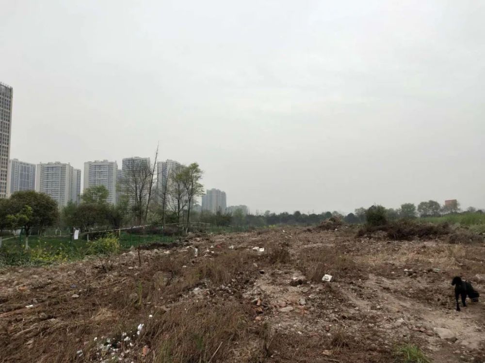 大豐市公安局推動智能化警務(wù)建設(shè)，最新項目助力社會治安升級