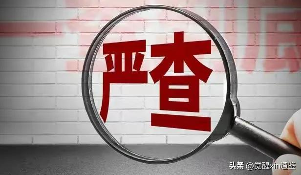 民權(quán)縣初中最新發(fā)展規(guī)劃揭秘，未來(lái)教育藍(lán)圖展望