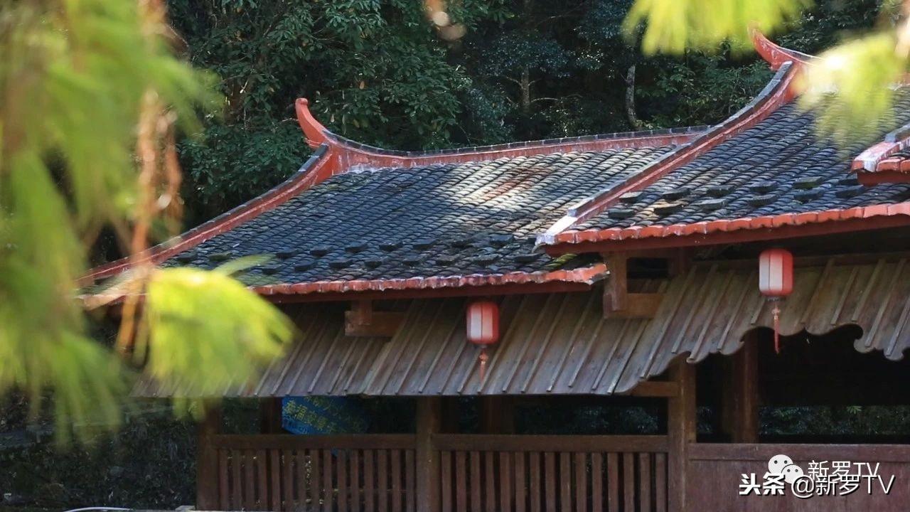 萬安村交通新聞更新，邁向現(xiàn)代化交通的新篇章