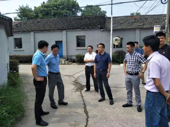 星橋鎮(zhèn)交通新聞更新，邁向高效便捷的交通網(wǎng)絡(luò)新紀(jì)元