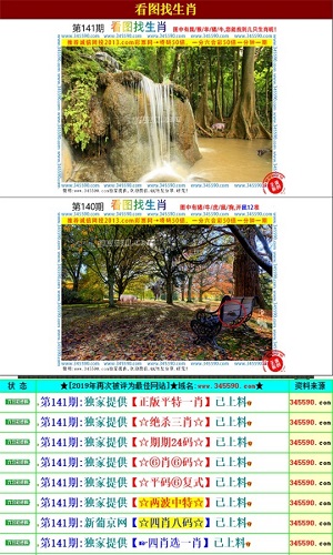 新澳門王中王六肖中特,精細(xì)解析評(píng)估_桌面版81.304