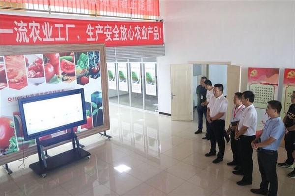 臨南鎮(zhèn)交通狀況持續(xù)改善，助力城市發(fā)展最新新聞聚焦