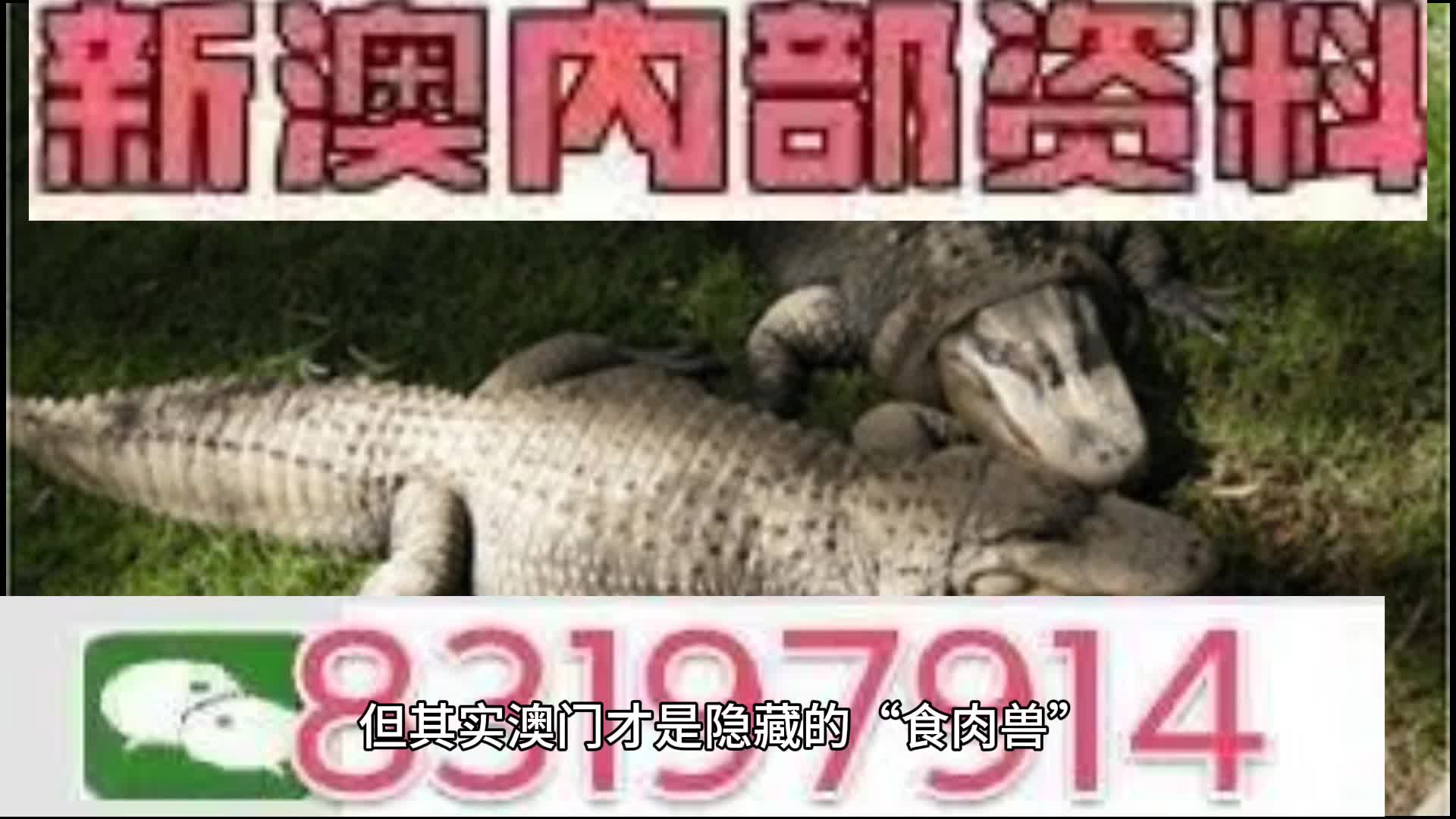 2024澳門特馬今晚開什么碼037期26-32-45-23-46-45T：34