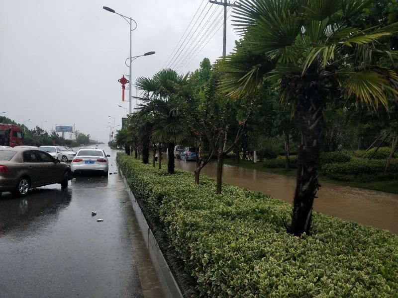 安徽滁州暴雨最新情況報告更新，暴雨影響及應對措施