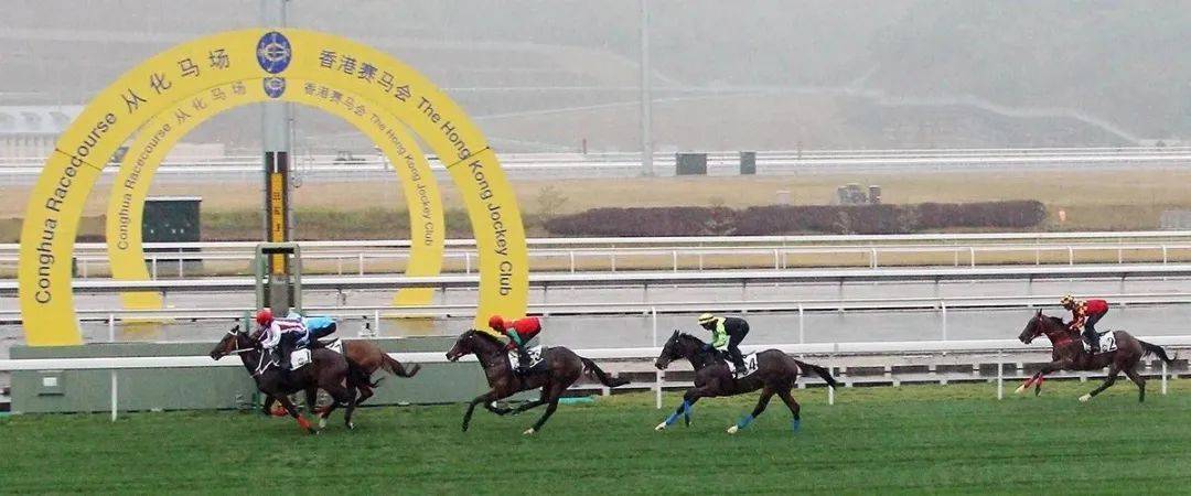 香港特馬資料王中王｜落實釋義深度解讀