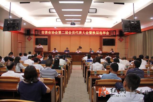 吉首市文化局人事任命動態(tài)解析及最新任命一覽