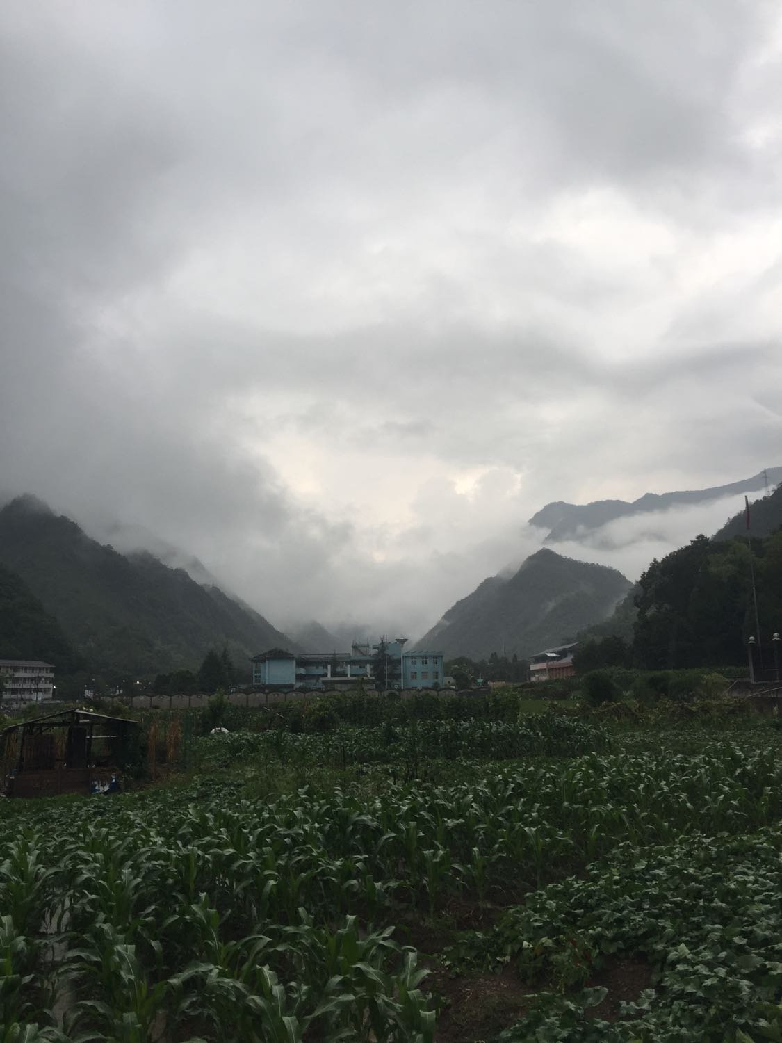 白貫村最新天氣預(yù)報(bào)匯總通知