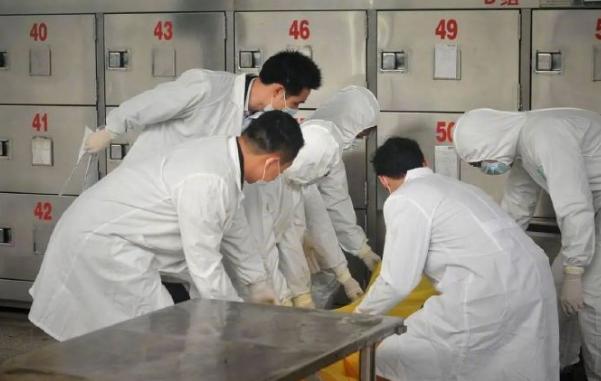 南豐縣殯葬事業(yè)單位招聘信息與行業(yè)發(fā)展趨勢(shì)探討