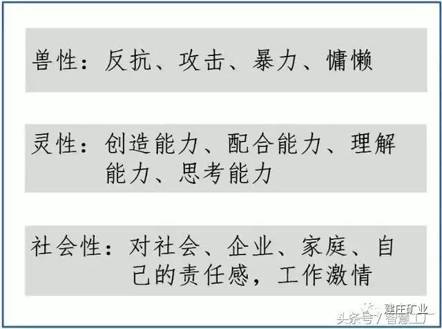 2025澳門特馬今晚開什么碼,魚躍全面釋義落實(shí)_資源制91.921