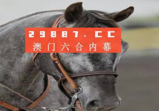 澳門(mén)精準(zhǔn)一肖一碼一一中,高度協(xié)調(diào)策略執(zhí)行_專(zhuān)業(yè)版84.76