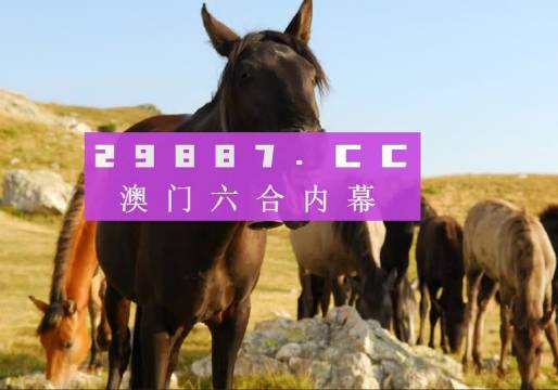 澳門管家婆100%精準(zhǔn)圖片044期46-3-38-5-49-29T：23