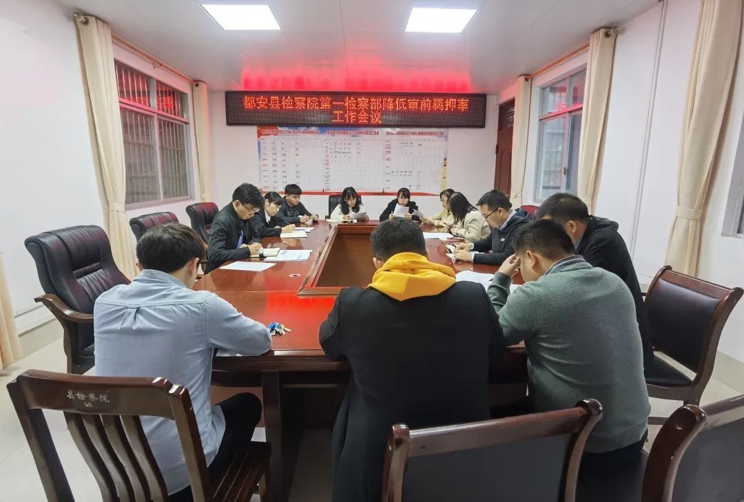 都安瑤族自治縣審計局最新項目動態(tài)分析與進展