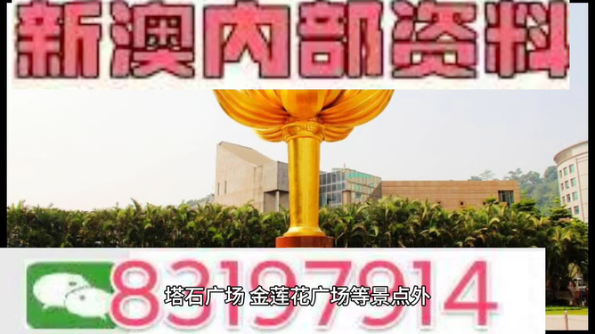 新澳門最精準(zhǔn)確精準(zhǔn)動態(tài)解析詞匯