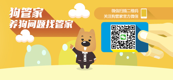 管家一肖一碼準(zhǔn)100免費052期5-21-13-41-31-27T：19
