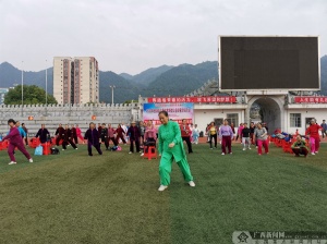 彭澤縣文化廣電體育和旅游局新項(xiàng)目啟動(dòng)，助力地方文化體育事業(yè)繁榮發(fā)展