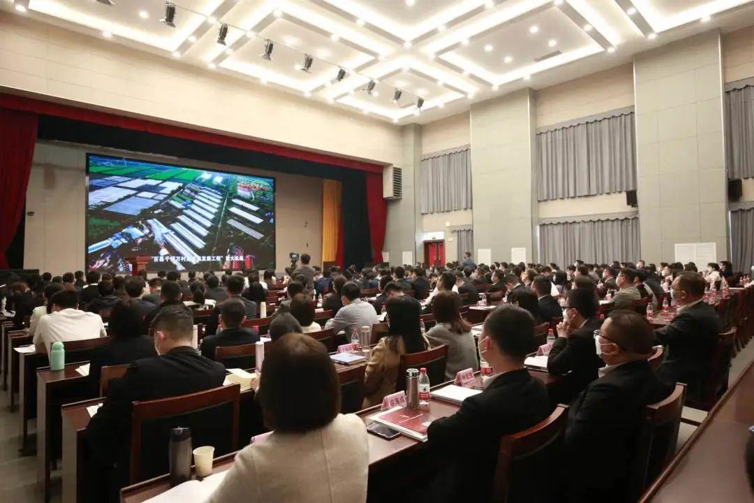 2025年新澳門正版免費(fèi)深度研究、落實(shí)與策略