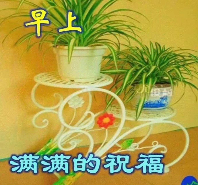 探索現(xiàn)代社交新趨勢，暖暖交友最新動態(tài)