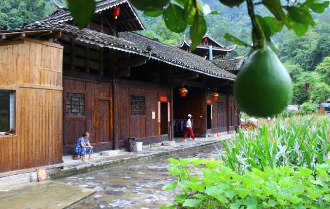 沅陵縣衛(wèi)生健康局發(fā)展規(guī)劃，構建健康沅陵，實現全面優(yōu)質醫(yī)療服務的跨越式發(fā)展