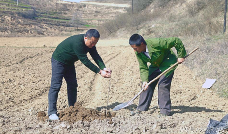 正版資料免費資料大全最新版本實地數(shù)據(jù)驗證計劃
