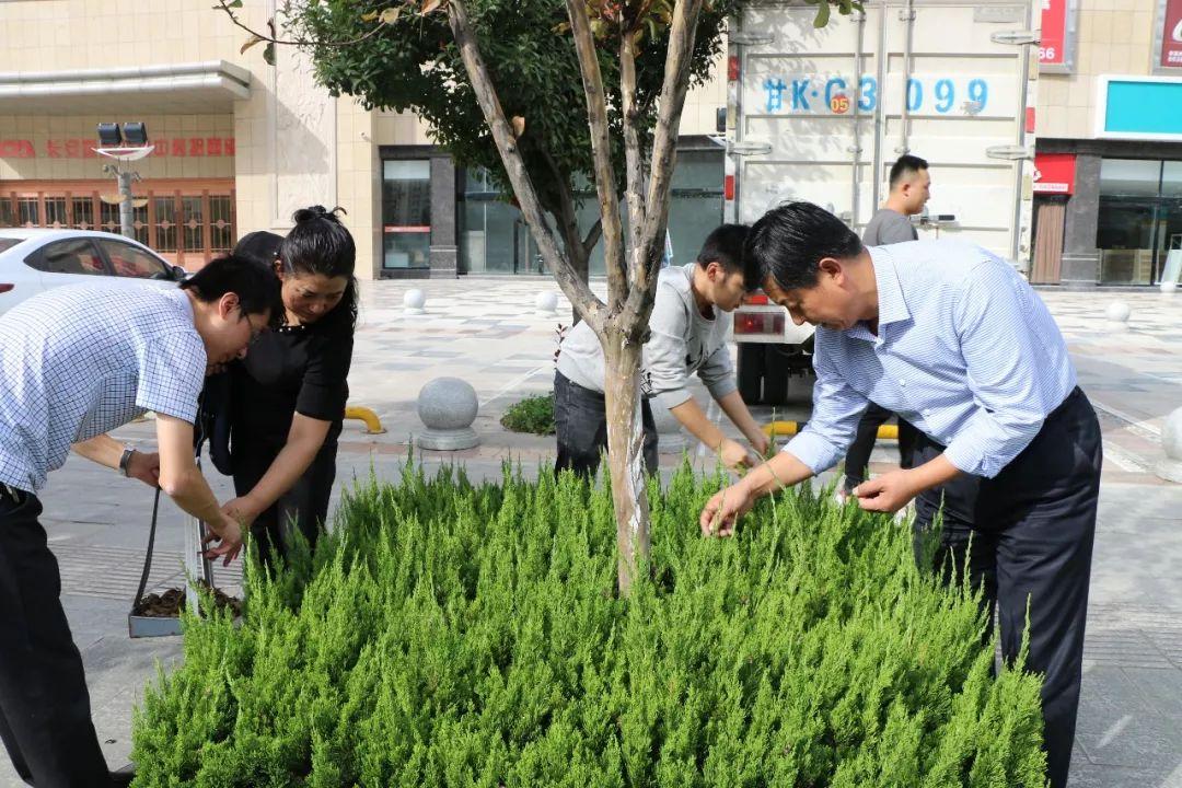 隴南市市信訪局最新發(fā)展規(guī)劃概覽