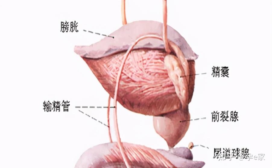 精窩最新地的探索與發(fā)現(xiàn)之旅