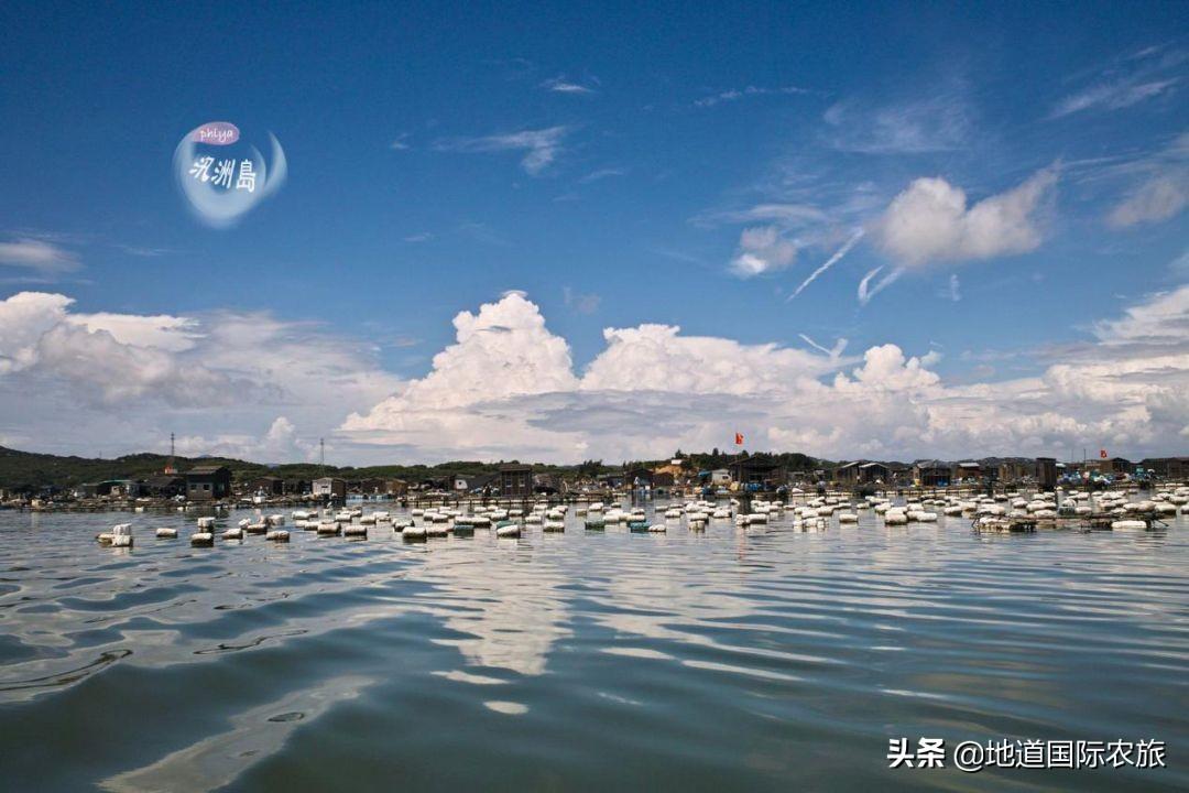 碧洲鎮(zhèn)交通升級助力地方發(fā)展最新消息