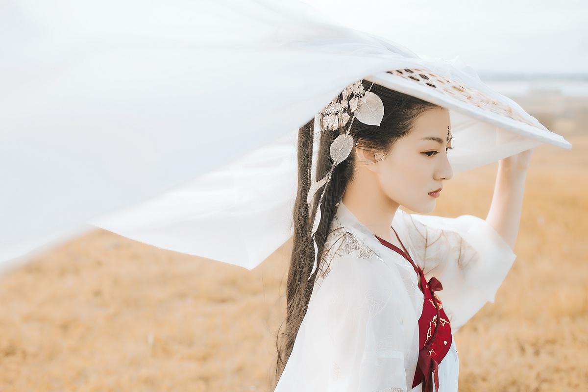 誅錦楚姒，命運(yùn)交織的綺麗篇章最新章節(jié)更新速遞