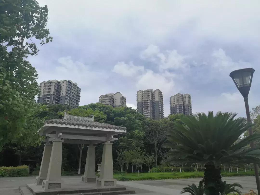 德陽五洲廣場最新動(dòng)態(tài)揭秘，最新進(jìn)展與資訊更新
