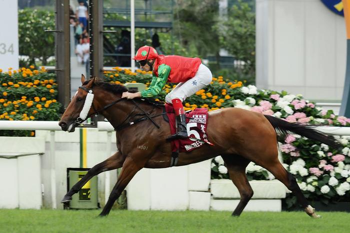 香港今晚開特馬074期25-25-41-34-16-2T：43