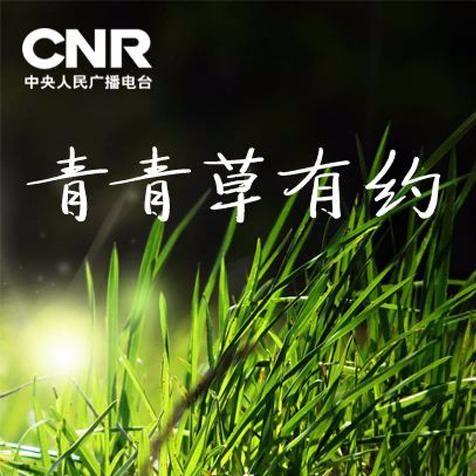 婷婷青青草最新網(wǎng)站，自然美探索的前沿陣地