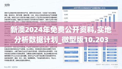 2025新澳最新版精準(zhǔn)特實時解答、落實與策略