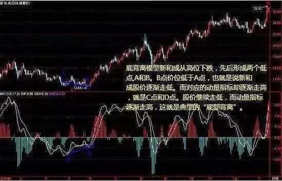 新和成（代碼，002001）最新業(yè)務(wù)進(jìn)展深度解析與未來(lái)展望
