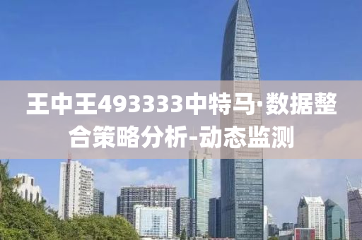 王中王493333中特馬穩(wěn)定評(píng)估、落實(shí)與策略