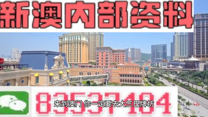 新澳門最精準正最精準查詢精選解析、落實與策略