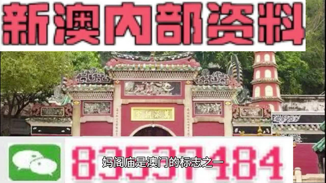 2025新澳門精準免費大全(圣旨)081期13-226-3-38-30-46T：18