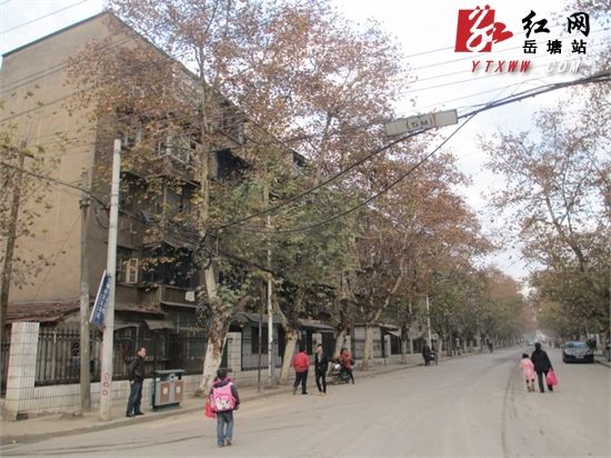 湘潭路街道最新交通新聞更新