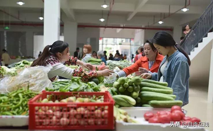 自貢市最新地圖揭示城市發(fā)展與變遷的軌跡