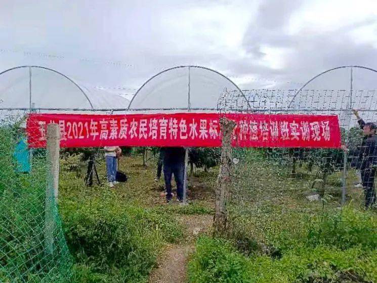 疏附縣農(nóng)業(yè)農(nóng)村局最新招聘信息詳解與探討，職位、要求及內(nèi)容概覽