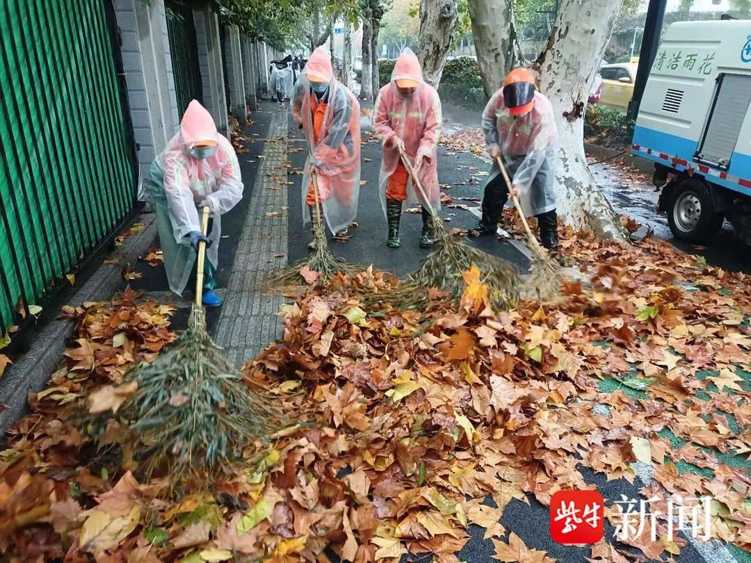 瑞金 第8頁