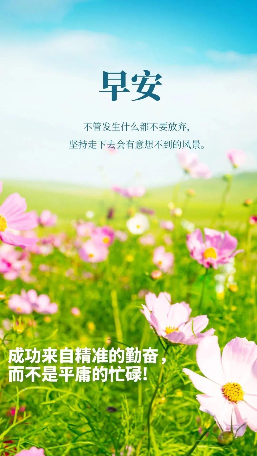 最新早上好微信圖片，喚醒活力與希望的一天
