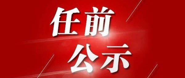 蒼南四號干部調(diào)整動態(tài)，引領(lǐng)未來的新領(lǐng)導力布局