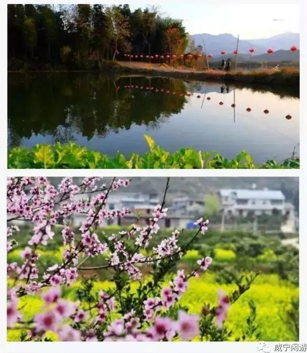 咸寧未來天地最新動態(tài)更新