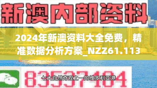 新澳2025精準正版資料,089期49-42-16-9-3-11T：43
