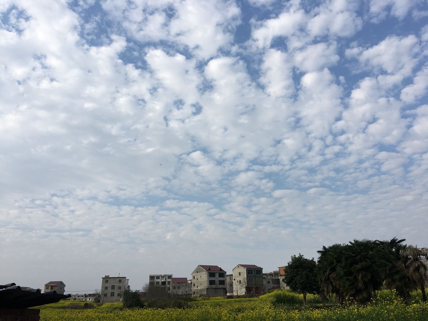 上余鎮(zhèn)最新天氣預(yù)報(bào)詳解及趨勢分析