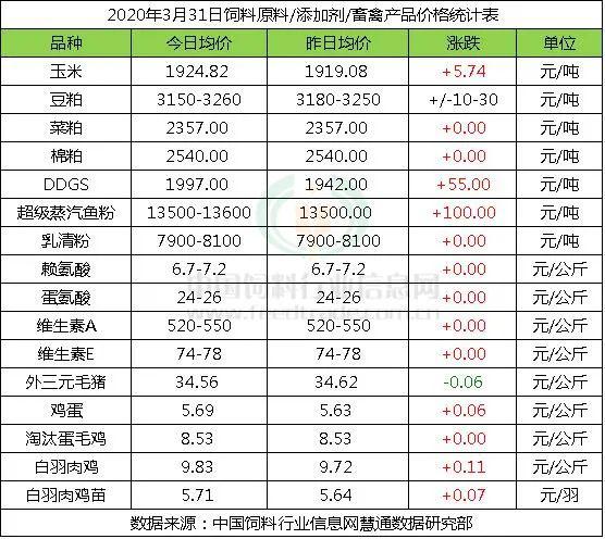 新奧天天開獎資料大全600tKm,087期41-31-20-17-20-3T：41