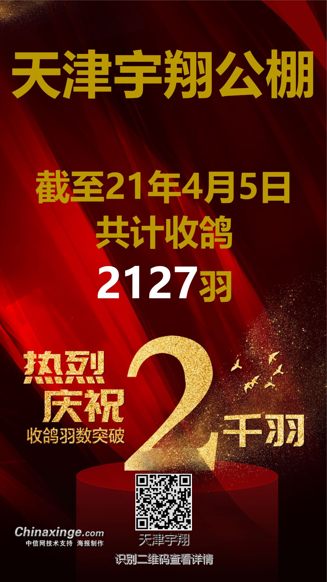 天羽翔公棚最新公告詳解，最新動態(tài)一覽無余