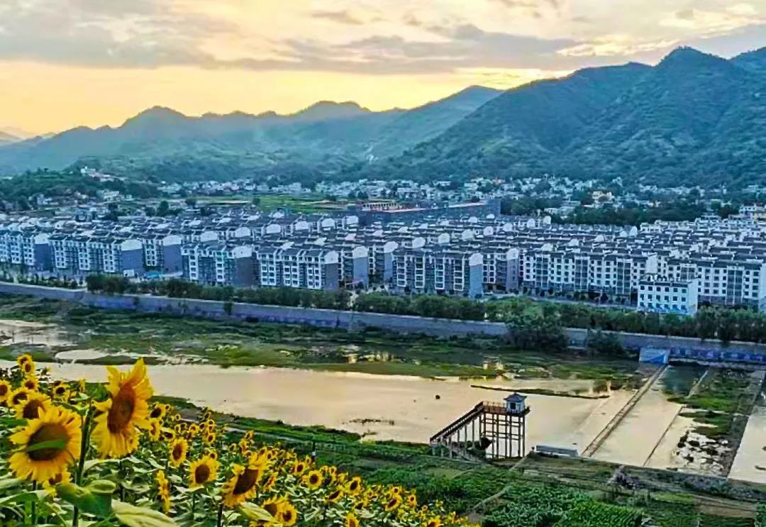 丹鳳縣住房和城鄉(xiāng)建設(shè)局最新招聘信息詳解及招聘動(dòng)態(tài)更新通知