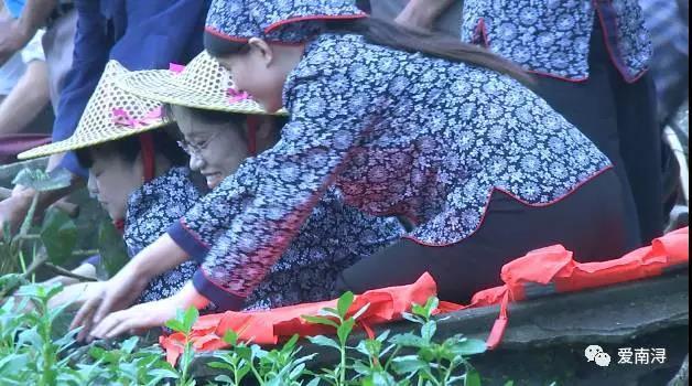 菱角鎮(zhèn)蓬勃發(fā)展新貌，最新新聞更新的小鎮(zhèn)風(fēng)采