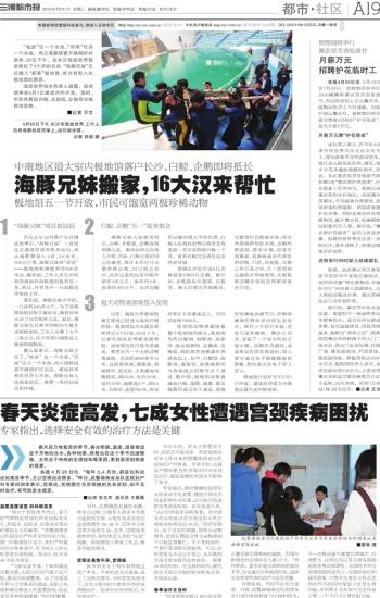 巨鹿最新招工臨時(shí)工信息匯總與解讀