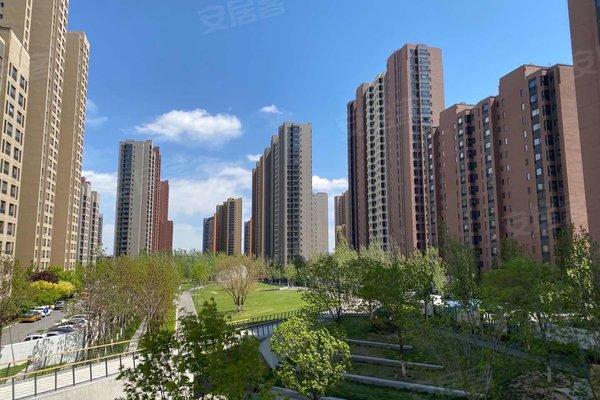 嘉都國(guó)際最新動(dòng)態(tài)全面解析
